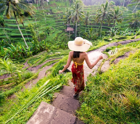 Cheap Thailand Tour Packages From Delhi | Thailand Packages Online